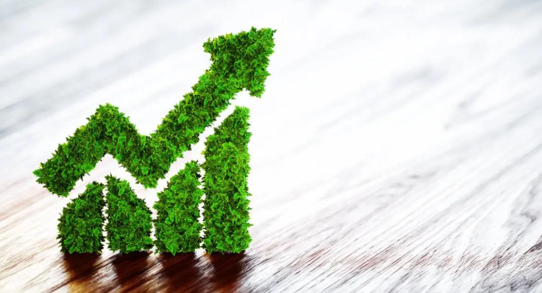 孙明春芜湖,孙明春经济学家