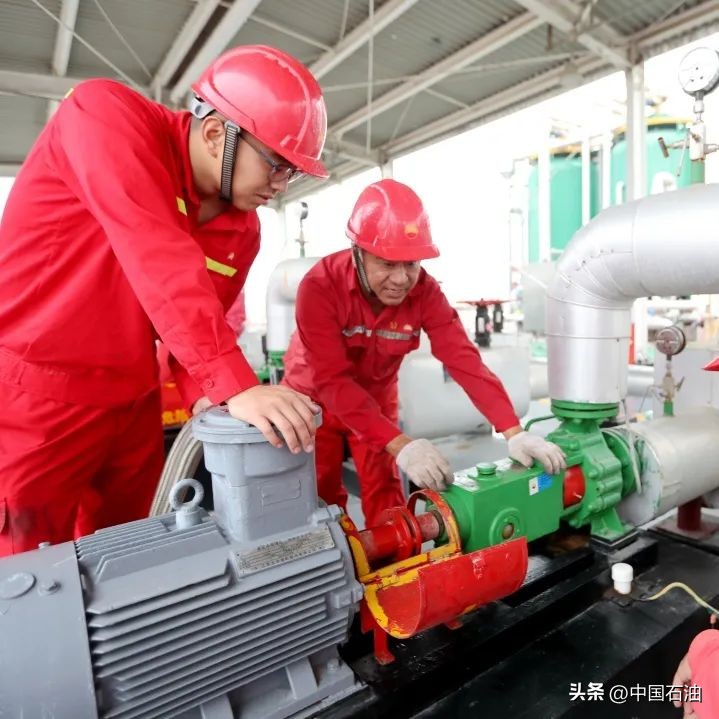 特别策划案例,特别策划系列