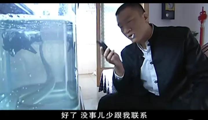 张世豪刘华强兆辉煌,征服刘华强和张世豪