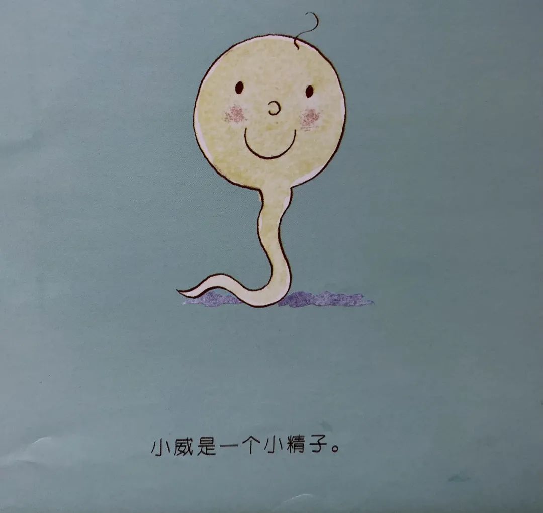 爸爸妈妈我从哪里来教案,爸爸妈妈我从哪里来科普视频