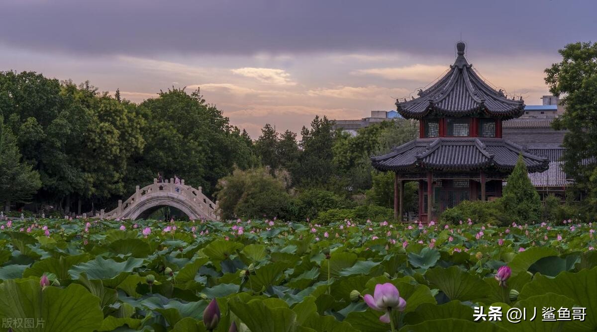 河北保定市内旅游景点大全,保定市红色旅游景点有哪些