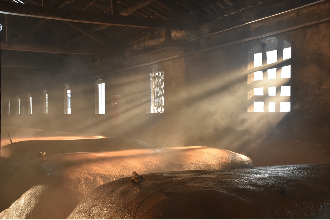 四川蒲江茶叶基地,四川百亿级大县