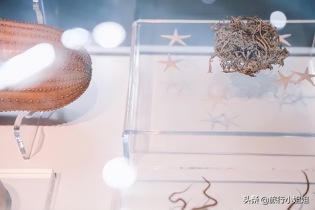 夏日海边微醺氛围感,滨城风光秀丽浪漫气息爆表