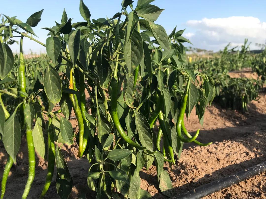 老汤创业,老汤生活记录