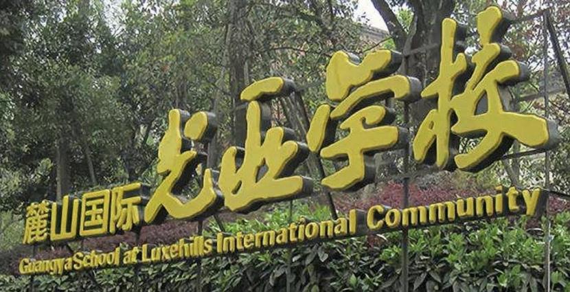 汶川地震中的范跑跑现况,2008年汶川地震范跑跑事件