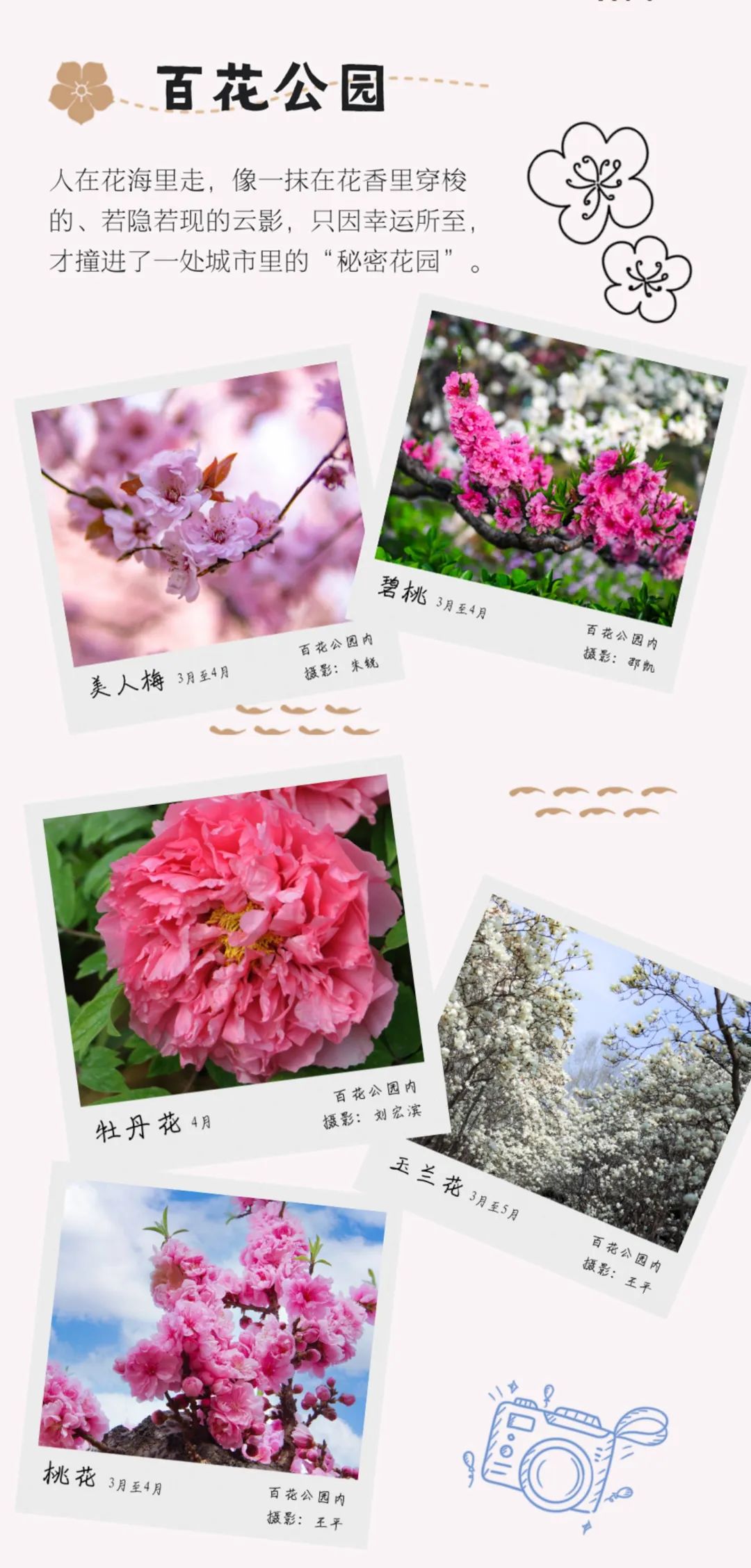 踏青济南攻略,济南黄河边春游攻略