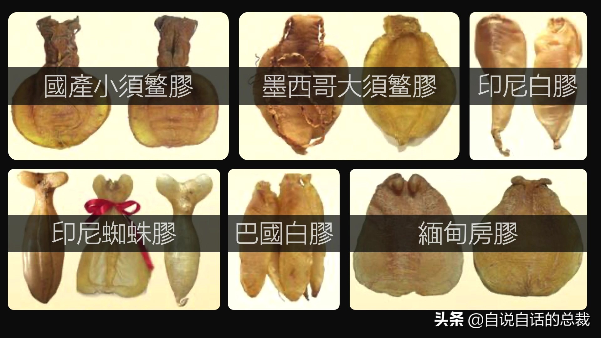 目前野生大黄鱼为什么这么贵,大黄鱼最贵价格多少钱一斤