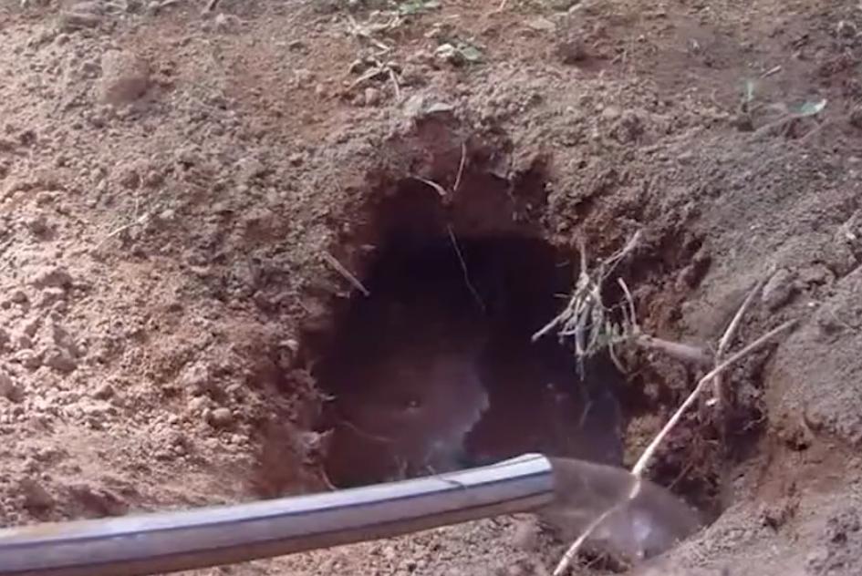 一代妖人袁天罡全集,袁天罡为什么是一代妖人