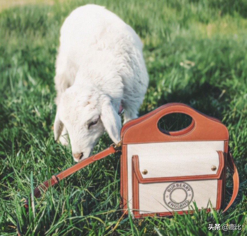 大牌包包和小众品牌到底怎么选,大牌包怎么投资