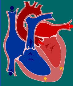 歪打正着的药物有哪些,歪打正着的药物汇总