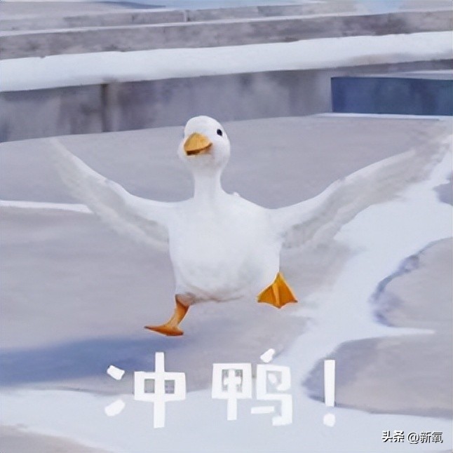 爬楼梯和跑步机哪个效果好,爬楼梯和跑步哪个好