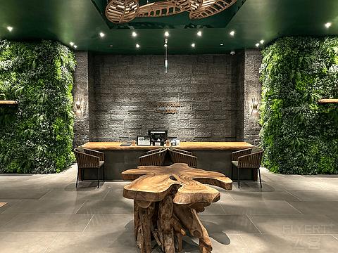 哈伊马角利兹卡尔顿,哈伊马角沙漠丽思卡尔顿酒店