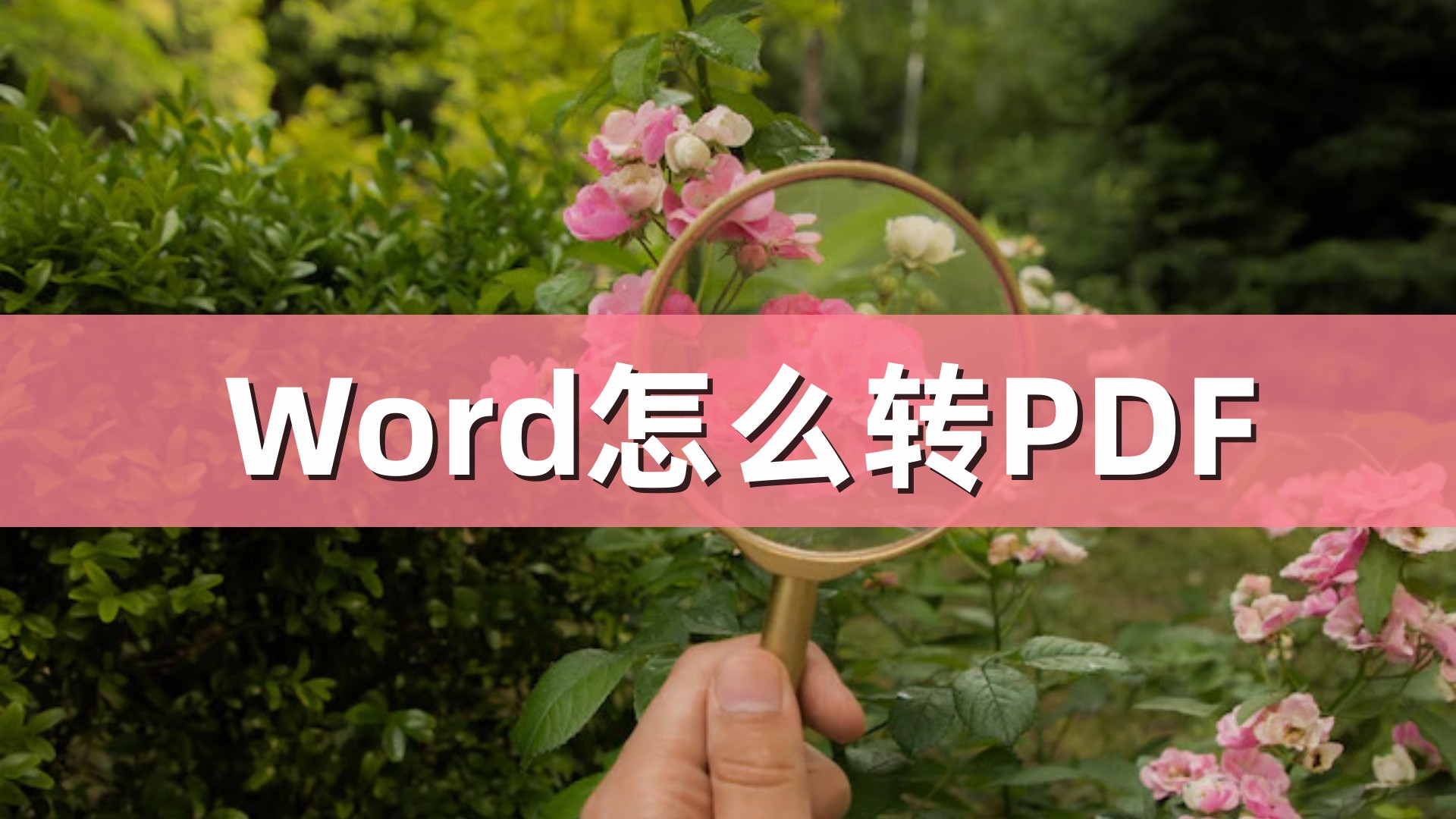 手机pdf转word最简单方法,wps怎么将pdf转成word
