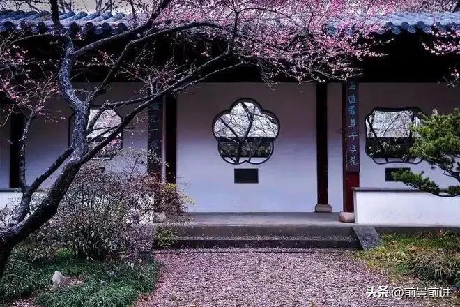 目不窥园成语意思,目不窥园成语