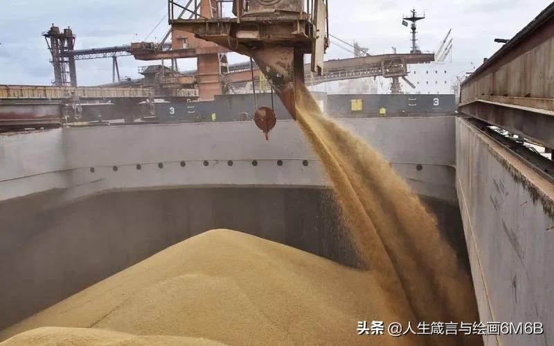 乌克兰还能出口粮食,乌克兰向中国出口的粮食