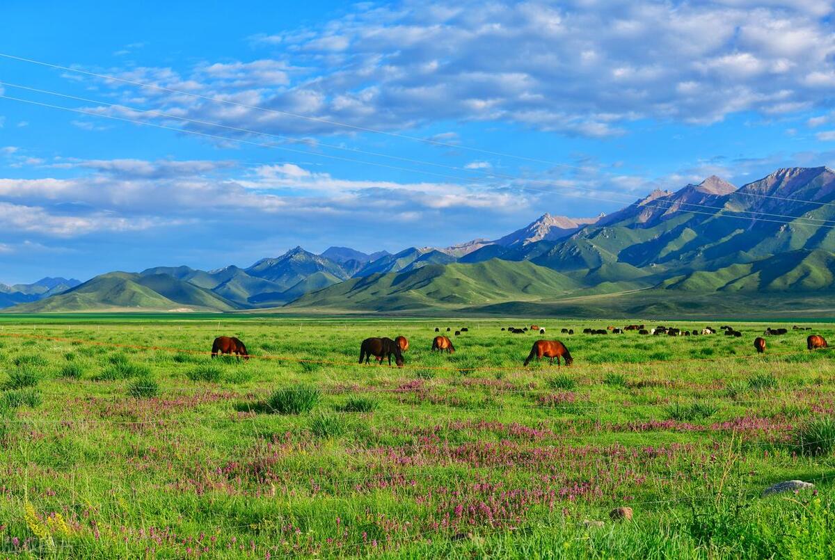 青海湖最值得去的几个景点,青海湖至茶卡盐湖途经景点