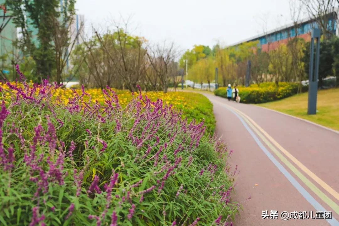 东安湖公园哪些开了,东安湖公园何时开放官方权威解答