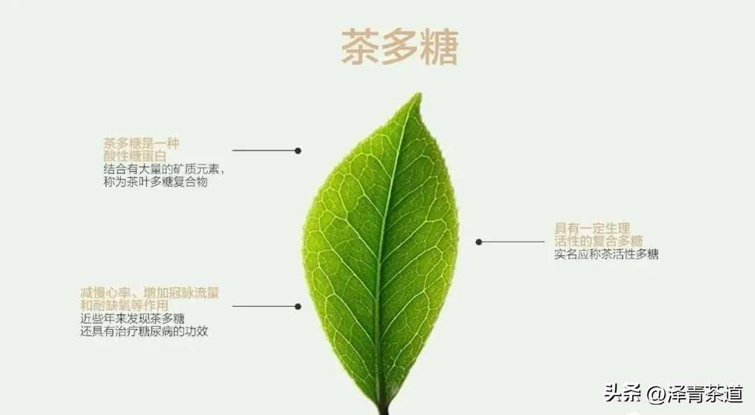 茶叶有哪些有益人体健康的成分,茶叶里含有糖类物质吗