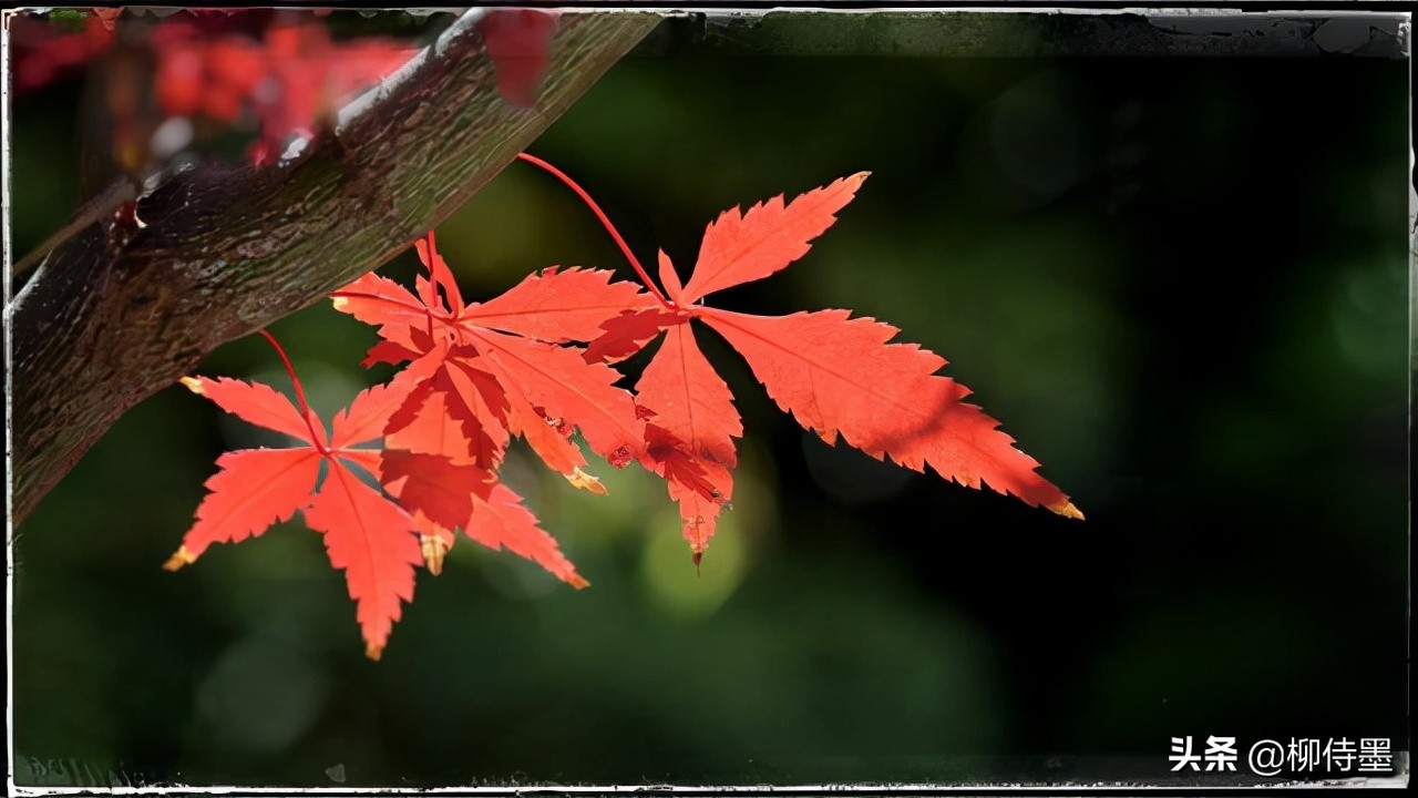 照片拍出来难看怎么修图,照片不能瞎拍