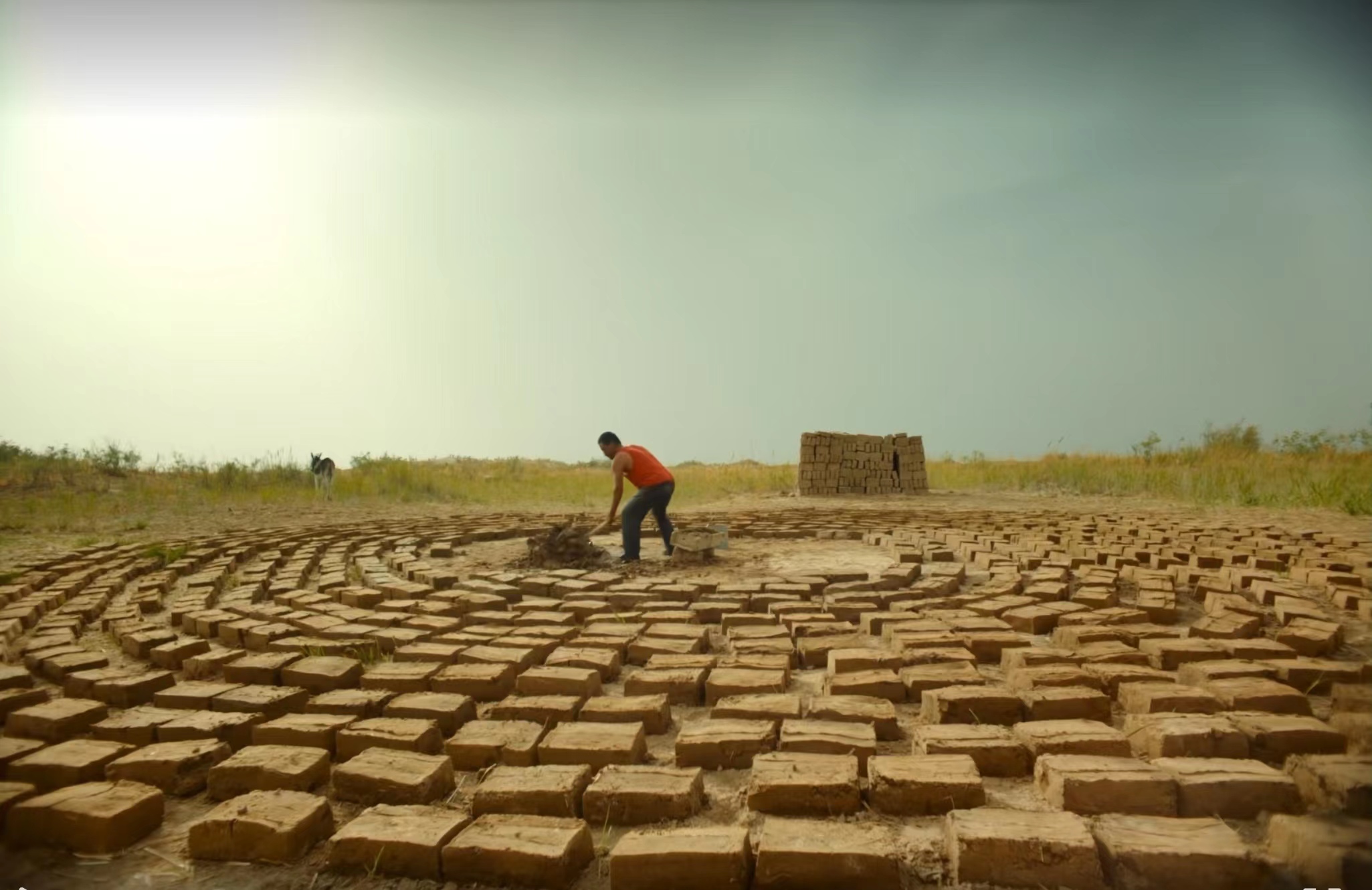 电影欣赏（六）《隐入尘烟》中的卑微人生