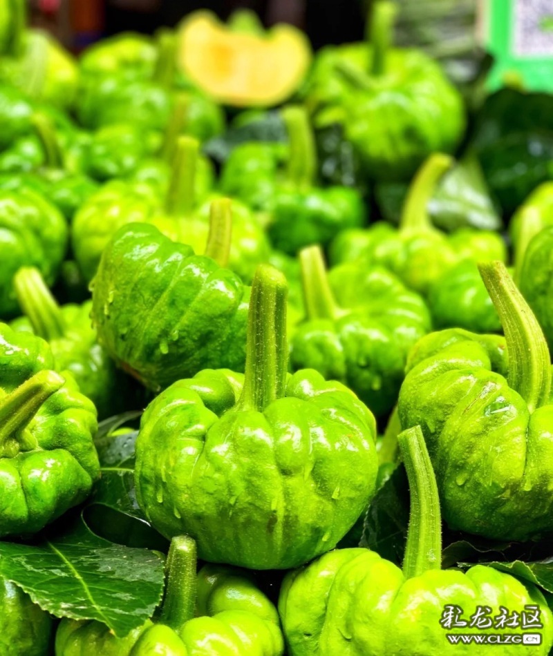 云南旅行攻略昆明,云南旅游全攻略昆明篇