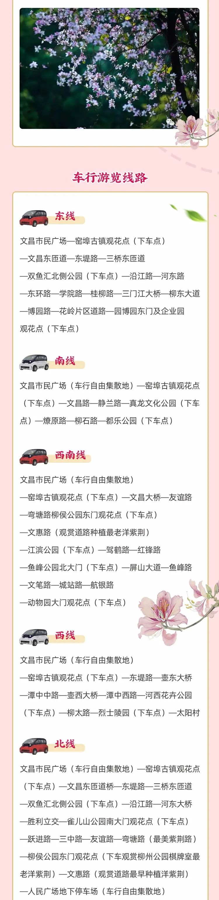 春天，我想到一座城，吃粉粉，看粉粉