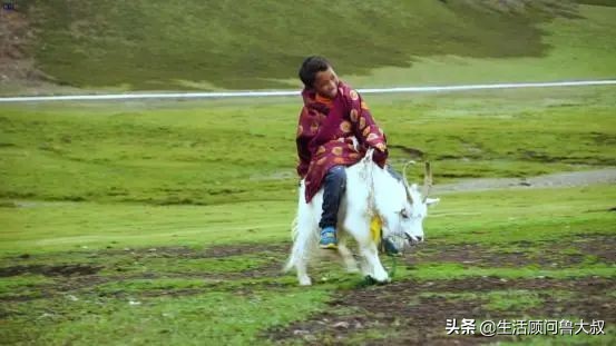 天府之国是该火一把了