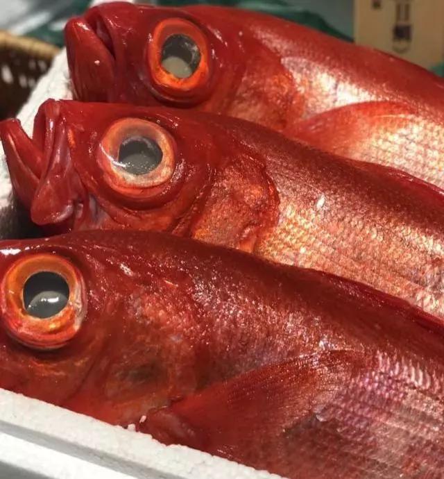 鱼类食材大全名称图片,鱼类菜谱大全100种