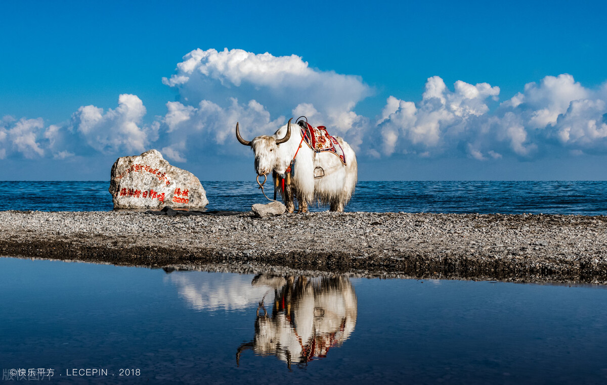 青海省在编公务员有多少人,2023青海省公务员招录名单