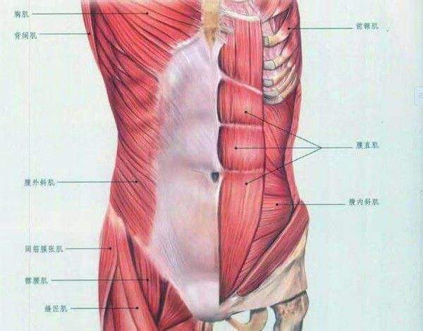 腰扭伤后为啥坐着还是疼呢,为什么扭伤腰坐着站起来会痛