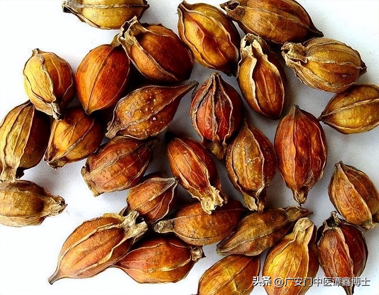 治疗前列腺炎的中药单方,顽固性前列腺炎中医验方