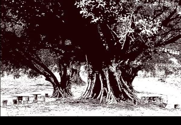 八岁乡下男孩遭遇可怕的一天，赶场路撞土匪，上街目睹杀人全过程