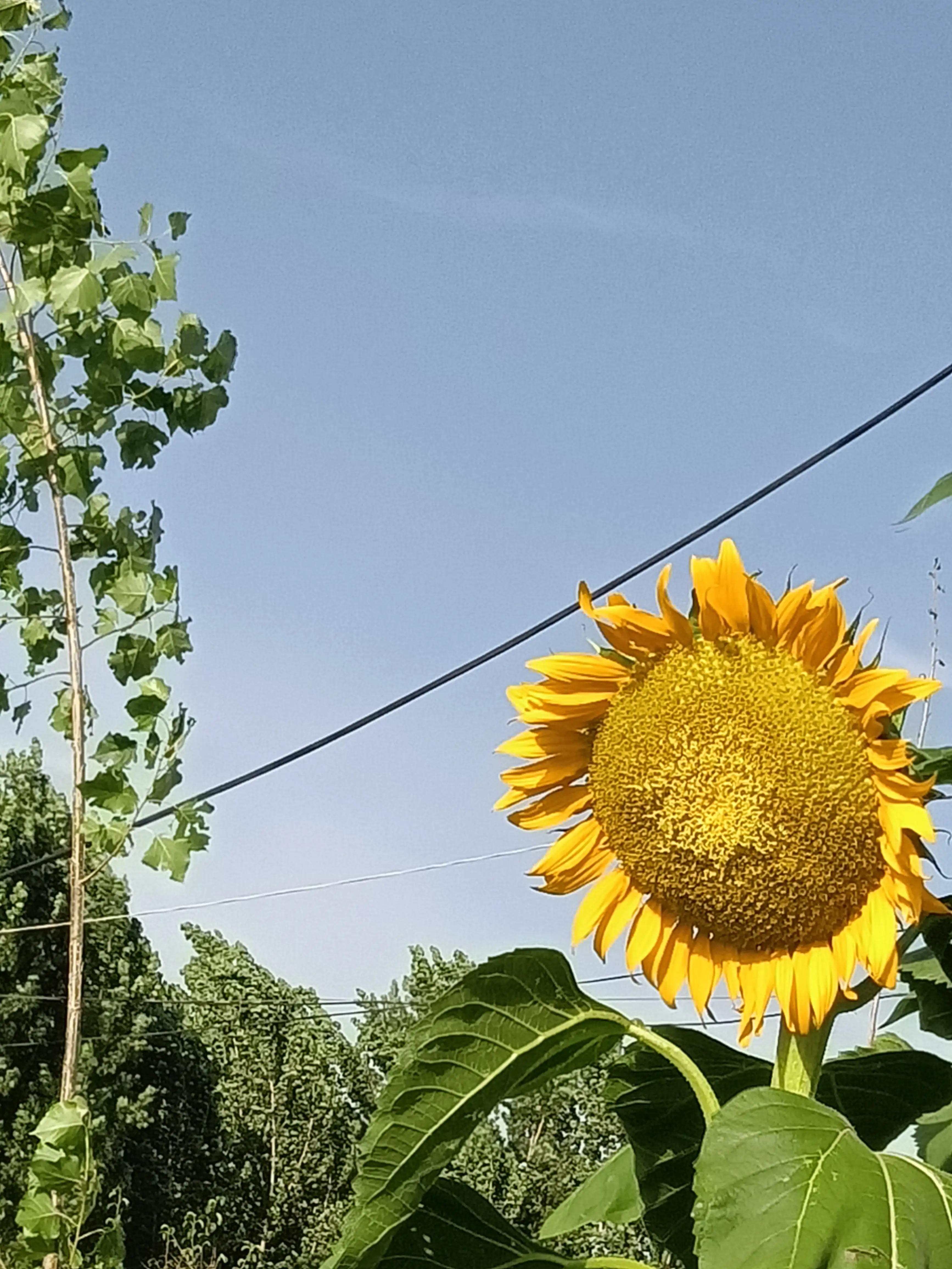 数学常用的构造法,数学构造的基本步骤
