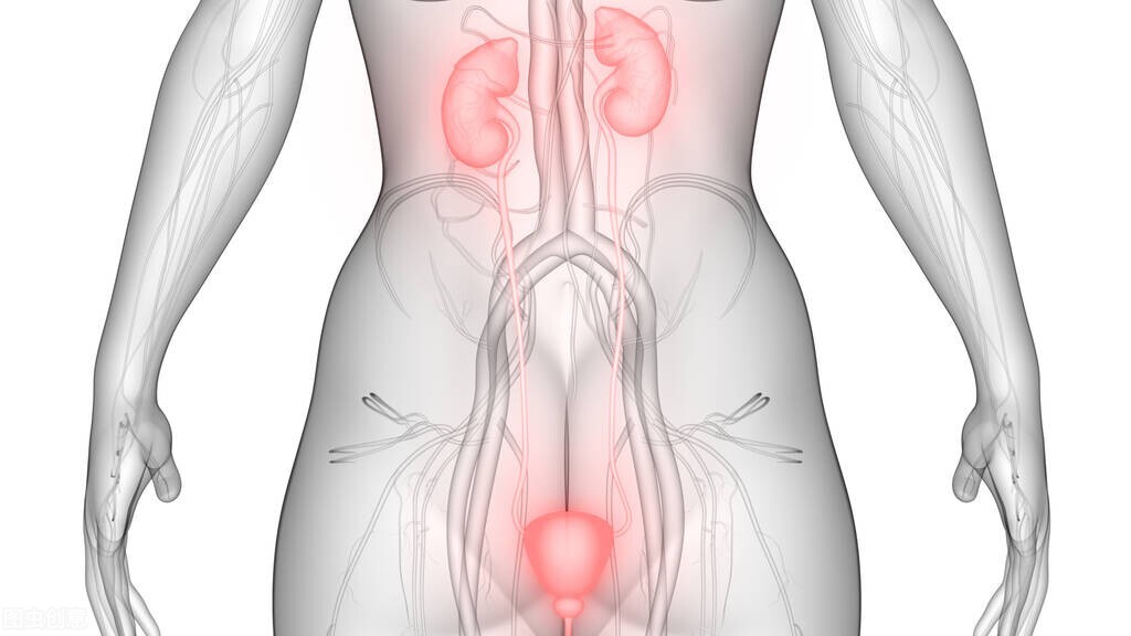 别把六味地黄丸当成补肾圣药,补肾用六味地黄丸效果好吗