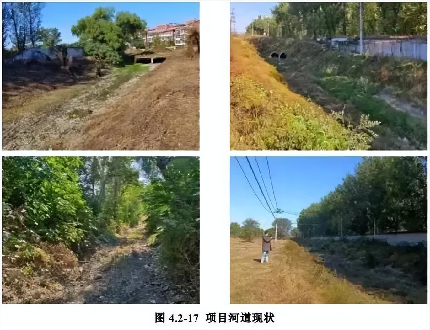 苑里的公园、医院、地铁站…都在悄然改变！