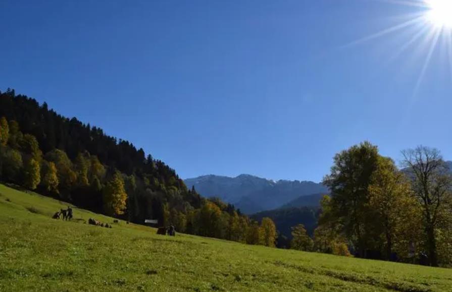 ienglish学英语靠谱吗,托普朗宁ienglish多少钱