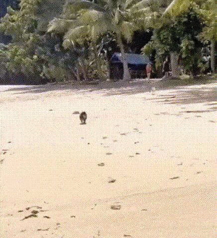 关于重庆的搞笑图,表示不敢相信的搞笑图片