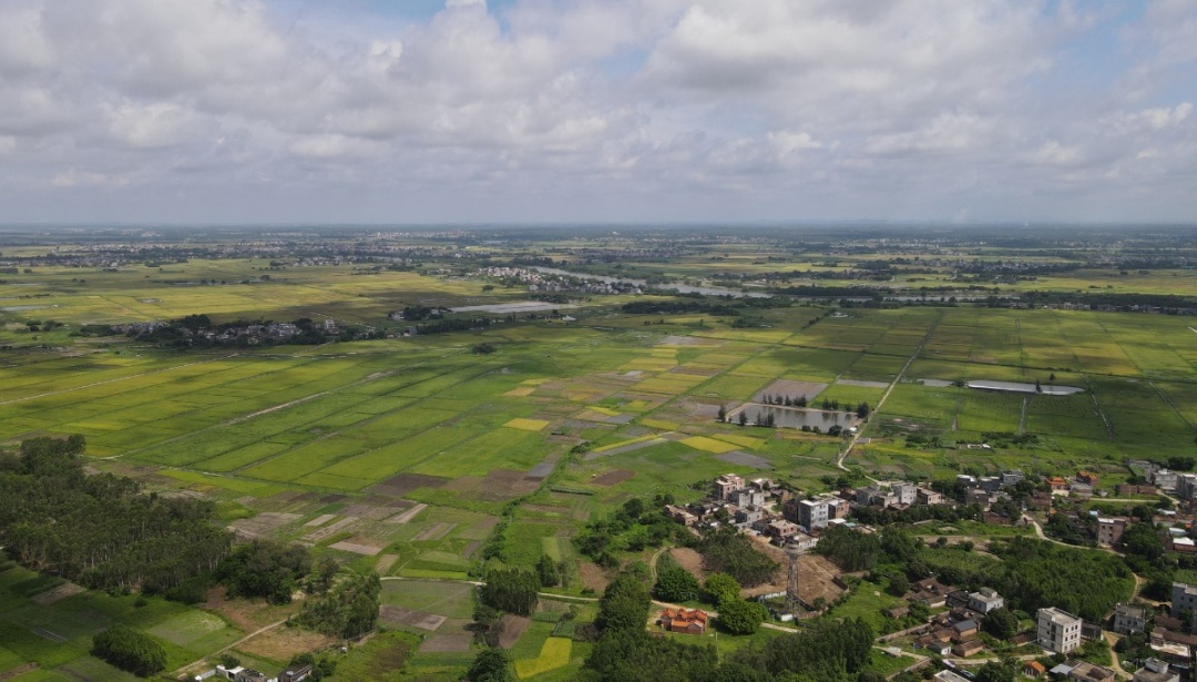 耕地保护专项监督工作方案,研究耕地保护和粮食安全