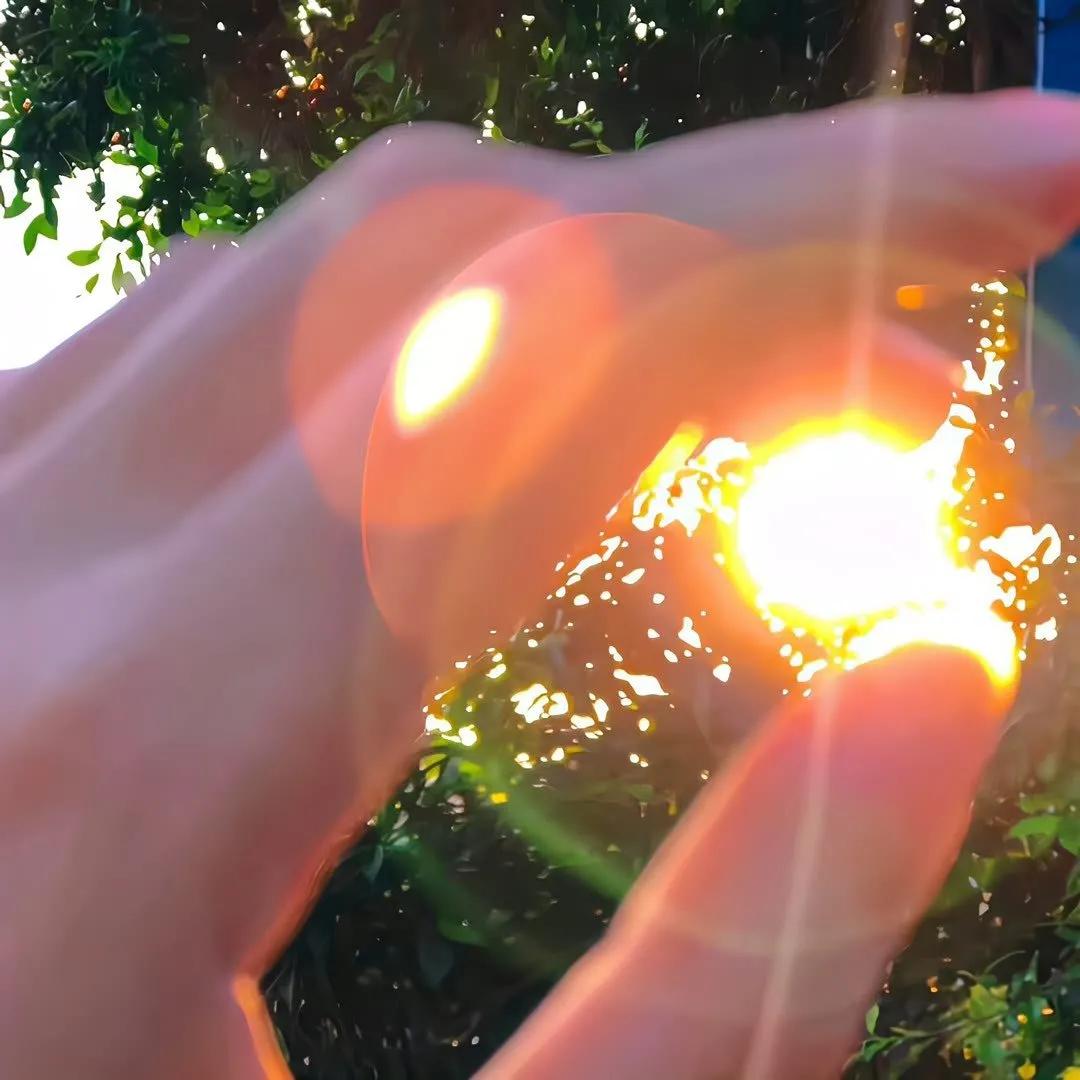 清新花朵朋友圈背景图,清新唯美干净背景图片