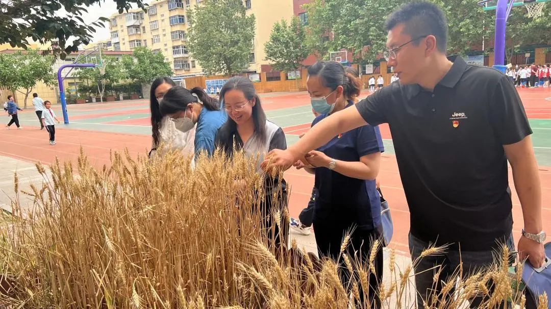 走进石家庄裕东小学，探寻小麦丰收节庆祝活动现场