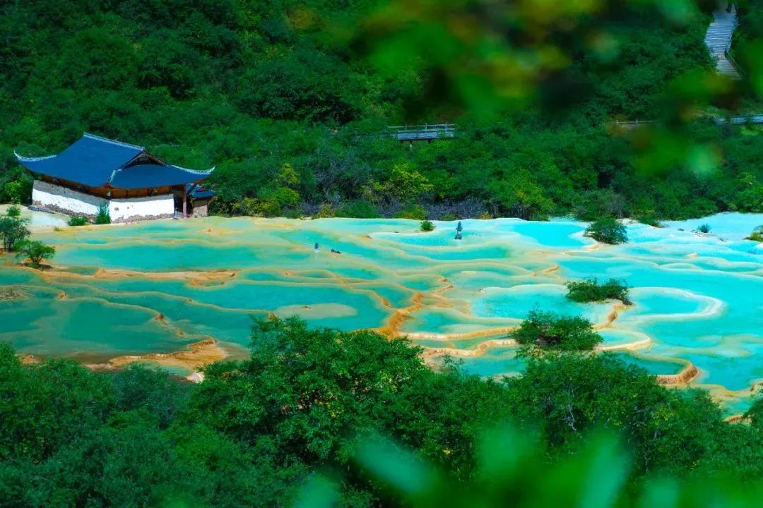 去阿坝州过完了春夏秋冬,阿坝州夏天去还是秋冬去
