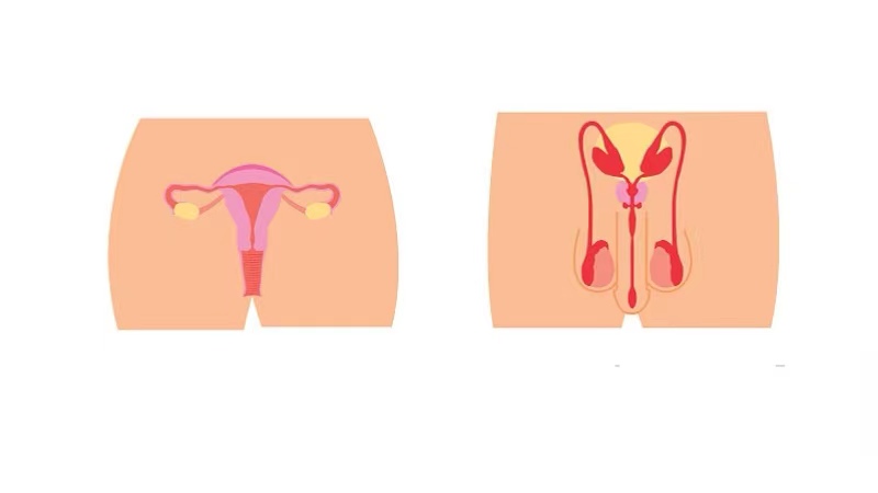 巨阴症是好事吗,巨阴症什么样