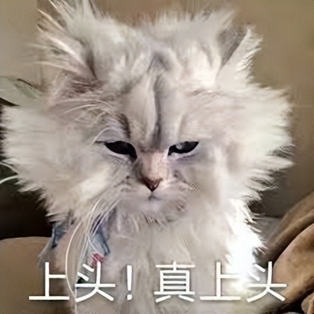 网易即将出的十款游戏,网易游戏有哪些比较好玩的