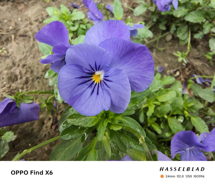 oppofindx6评测长焦,OPPOFindX6Pro120倍长焦测评