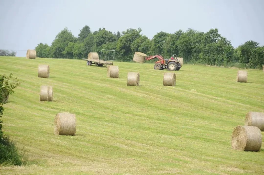 圣元这款“三好生”奶粉，上半年逆势大涨40%