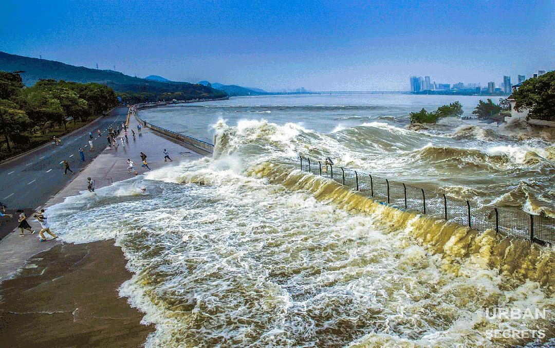 杭州之江板块的历史,杭州之江珊瑚沙家园怎么样