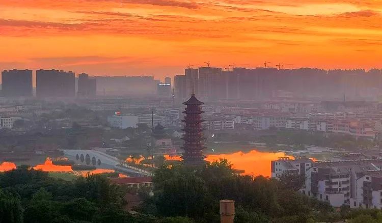 菏泽牡丹节赏花攻略,菏泽春日赏花攻略