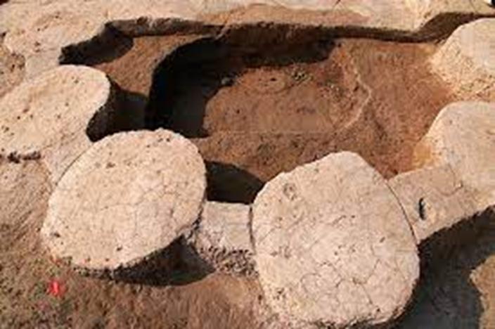 河南淮阳县时庄遗址,河南省淮阳县时庄遗址