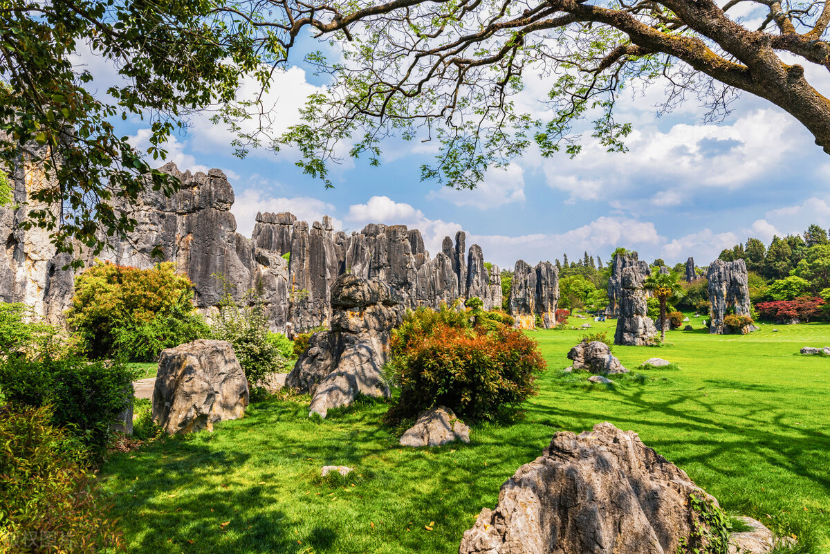 去云南昆明旅游攻略必去景点,云南的昆明旅游攻略必去景点顺序
