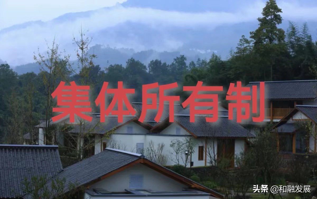 集体所有制的解释,集体所有制通俗解释